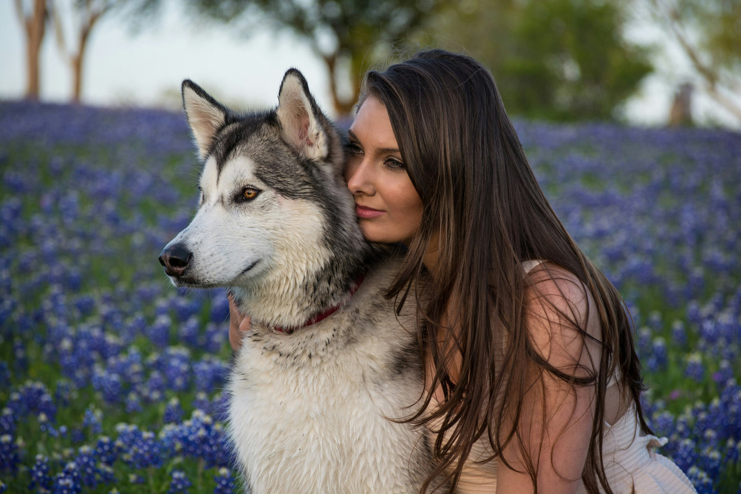 Dog Waterless Shampoo